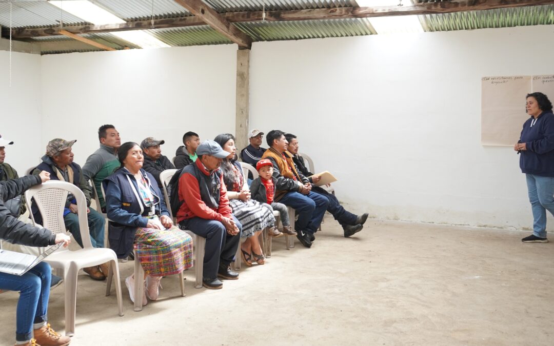 Trazando el rumbo: construyendo planes de negocio desde las comunidades